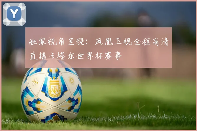 独家视角呈现：凤凰卫视全程高清直播卡塔尔世界杯赛事