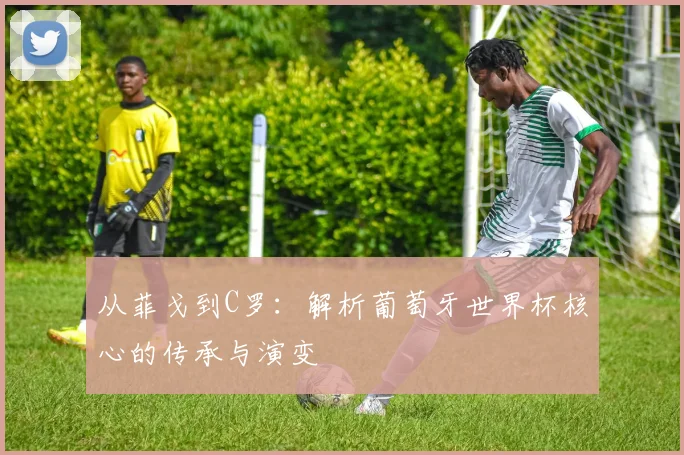 从菲戈到C罗：解析葡萄牙世界杯核心的传承与演变